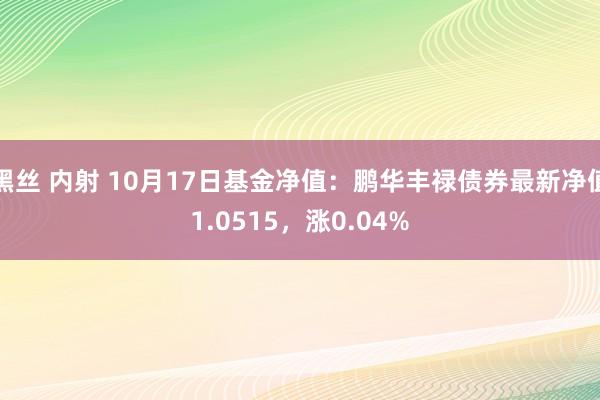 黑丝 内射 10月17日基金净值：鹏华丰禄债券最新净值1.0515，涨0.04%