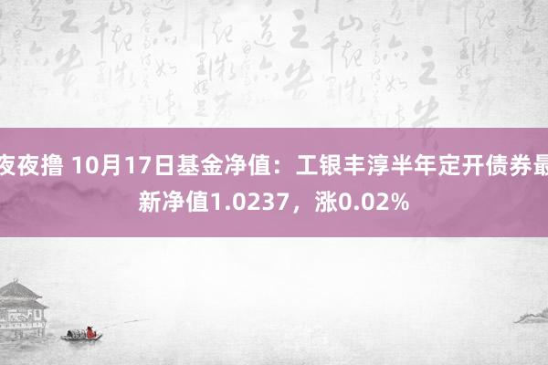 夜夜撸 10月17日基金净值：工银丰淳半年定开债券最新净值1.0237，涨0.02%