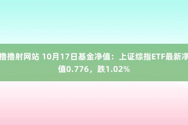 撸撸射网站 10月17日基金净值：上证综指ETF最新净值0.776，跌1.02%