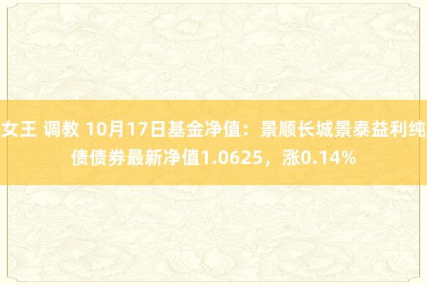 女王 调教 10月17日基金净值：景顺长城景泰益利纯债债券最新净值1.0625，涨0.14%