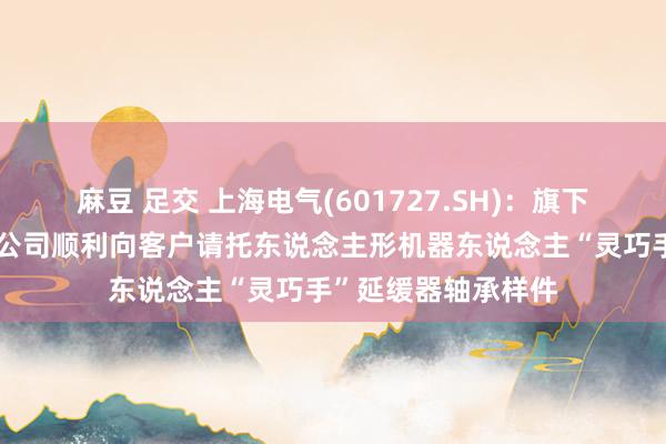 麻豆 足交 上海电气(601727.SH)：旗下上海天安轴承有限公司顺利向客户请托东说念主形机器东说念主“灵巧手”延缓器轴承样件