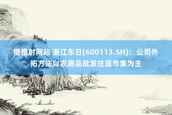 撸撸射网站 浙江东日(600113.SH)：公司外拓方法以农居品批发往返市集为主