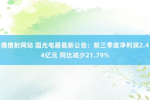 撸撸射网站 国光电器最新公告：前三季度净利润2.44亿元 同比减少21.79%