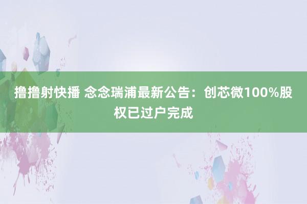 撸撸射快播 念念瑞浦最新公告：创芯微100%股权已过户完成