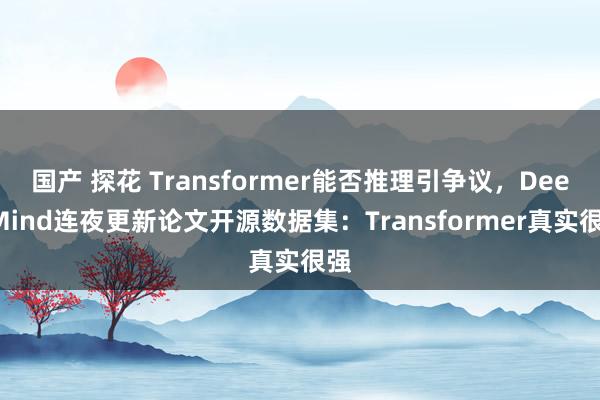 国产 探花 Transformer能否推理引争议，DeepMind连夜更新论文开源数据集：Transformer真实很强