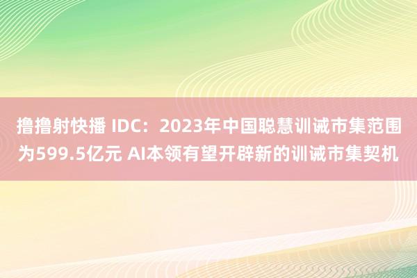 撸撸射快播 IDC：2023年中国聪慧训诫市集范围为599.5亿元 AI本领有望开辟新的训诫市集契机