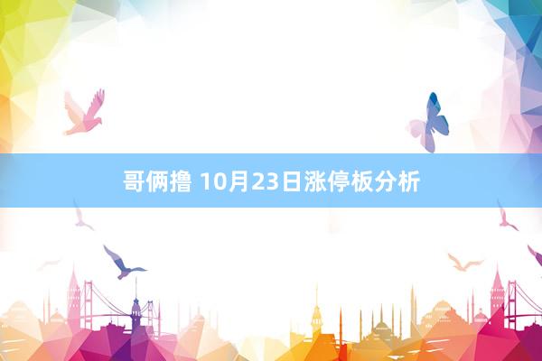 哥俩撸 10月23日涨停板分析