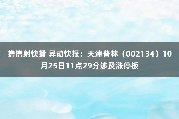 撸撸射快播 异动快报：天津普林（002134）10月25日11点29分涉及涨停板