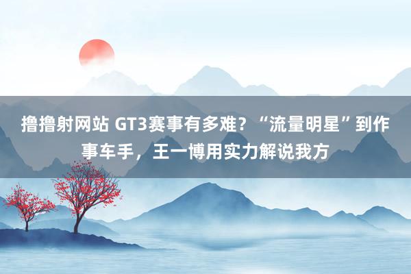 撸撸射网站 GT3赛事有多难？“流量明星”到作事车手，王一博用实力解说我方