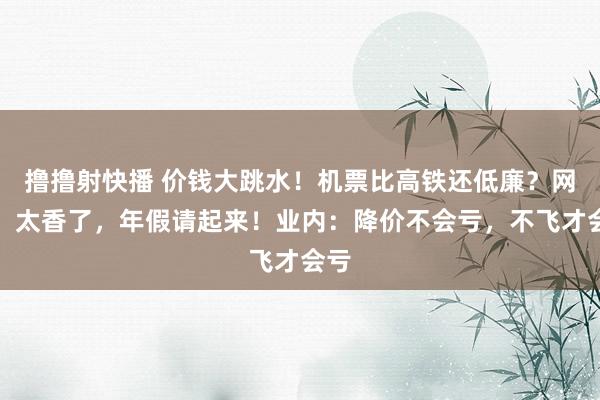 撸撸射快播 价钱大跳水！机票比高铁还低廉？网友：太香了，年假请起来！业内：降价不会亏，不飞才会亏