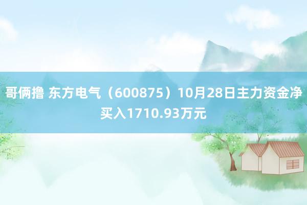 哥俩撸 东方电气（600875）10月28日主力资金净买入1710.93万元