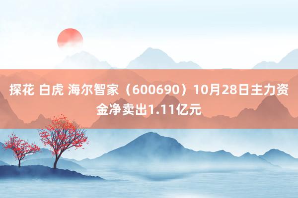 探花 白虎 海尔智家（600690）10月28日主力资金净卖出1.11亿元