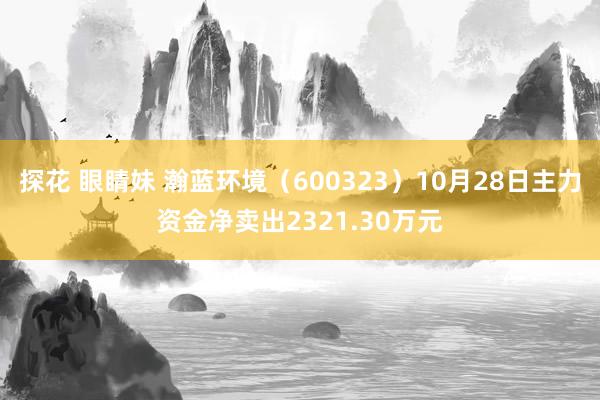 探花 眼睛妹 瀚蓝环境（600323）10月28日主力资金净卖出2321.30万元