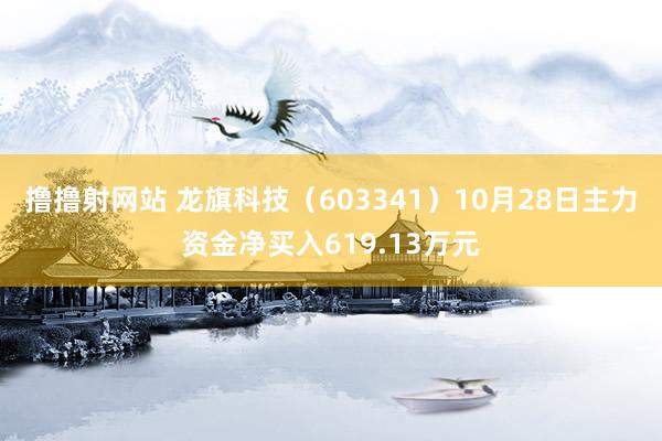 撸撸射网站 龙旗科技（603341）10月28日主力资金净买入619.13万元