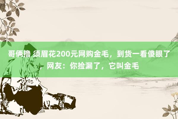 哥俩撸 须眉花200元网购金毛，到货一看傻眼了，网友：你捡漏了，它叫金毛