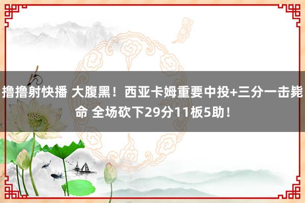 撸撸射快播 大腹黑！西亚卡姆重要中投+三分一击毙命 全场砍下29分11板5助！