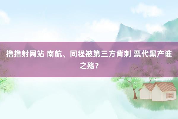 撸撸射网站 南航、同程被第三方背刺 票代黑产谁之殇？