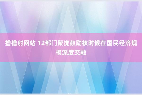 撸撸射网站 12部门聚拢鼓励核时候在国民经济规模深度交融