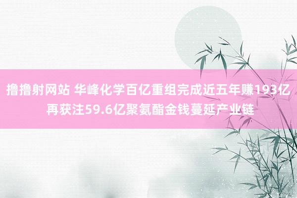 撸撸射网站 华峰化学百亿重组完成近五年赚193亿 再获注59.6亿聚氨酯金钱蔓延产业链