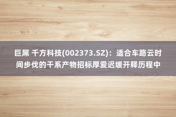 巨屌 千方科技(002373.SZ)：适合车路云时间步伐的干系产物招标厚爱迟缓开释历程中