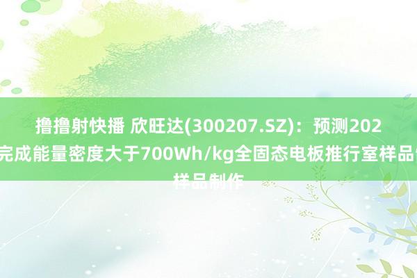 撸撸射快播 欣旺达(300207.SZ)：预测2027年完成能量密度大于700Wh/kg全固态电板推行室样品制作