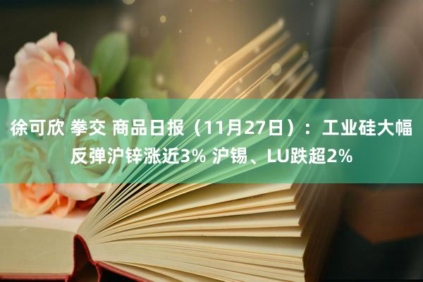 徐可欣 拳交 商品日报（11月27日）：工业硅大幅反弹沪锌涨近3% 沪锡、LU跌超2%