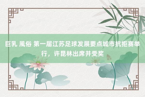 巨乳 風俗 第一届江苏足球发展要点城市抗拒赛举行，许昆林出席并受奖