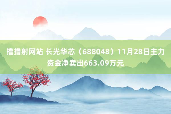 撸撸射网站 长光华芯（688048）11月28日主力资金净卖出663.09万元