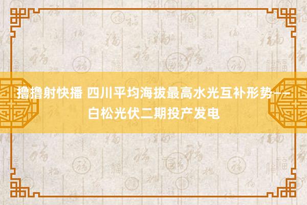 撸撸射快播 四川平均海拔最高水光互补形势——白松光伏二期投产发电