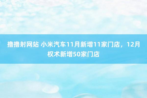 撸撸射网站 小米汽车11月新增11家门店，12月权术新增50家门店