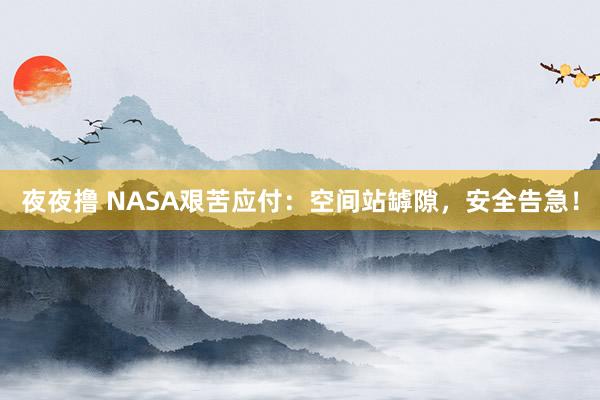 夜夜撸 NASA艰苦应付：空间站罅隙，安全告急！