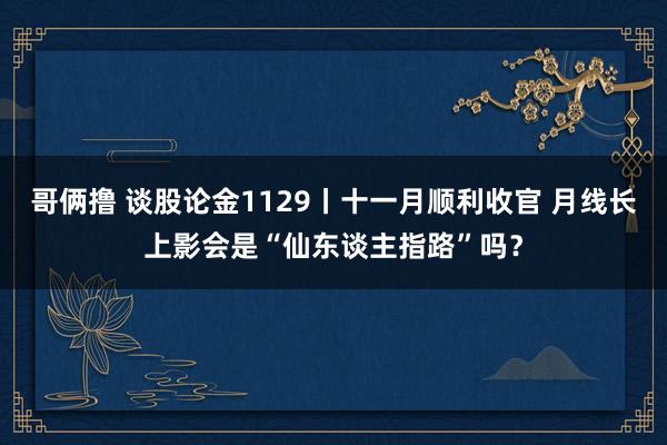 哥俩撸 谈股论金1129丨十一月顺利收官 月线长上影会是“仙东谈主指路”吗？