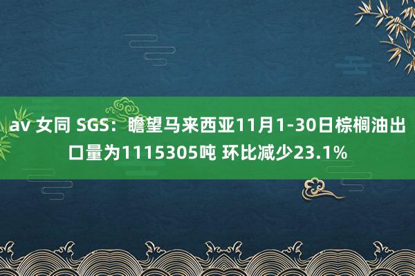 av 女同 SGS：瞻望马来西亚11月1-30日棕榈油出口量为1115305吨 环比减少23.1%