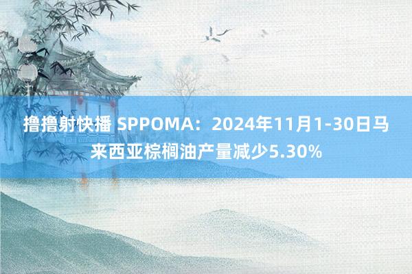 撸撸射快播 SPPOMA：2024年11月1-30日马来西亚棕榈油产量减少5.30%