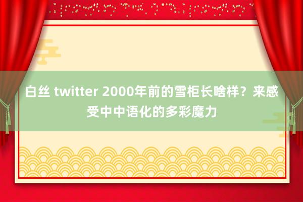 白丝 twitter 2000年前的雪柜长啥样？来感受中中语化的多彩魔力