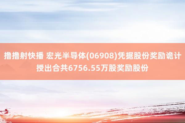 撸撸射快播 宏光半导体(06908)凭据股份奖励诡计授出合共6756.55万股奖励股份