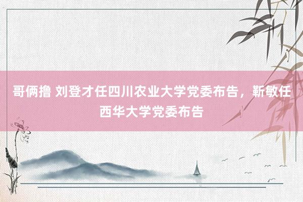 哥俩撸 刘登才任四川农业大学党委布告，靳敏任西华大学党委布告