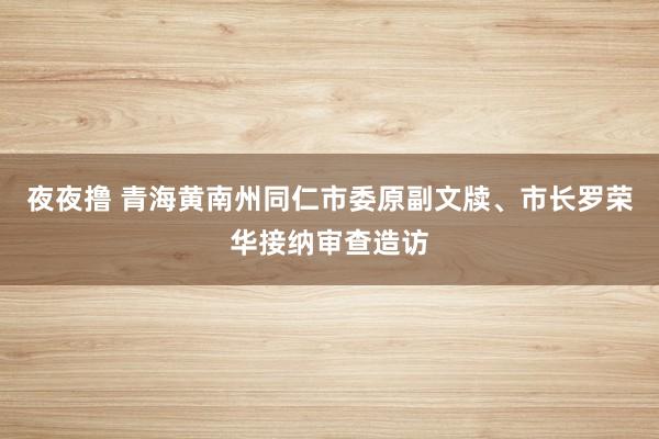 夜夜撸 青海黄南州同仁市委原副文牍、市长罗荣华接纳审查造访