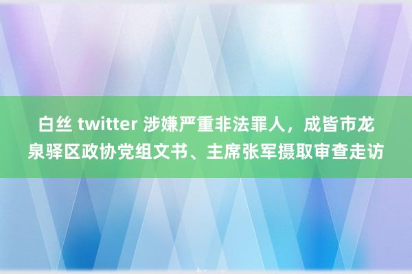 白丝 twitter 涉嫌严重非法罪人，成皆市龙泉驿区政协党组文书、主席张军摄取审查走访