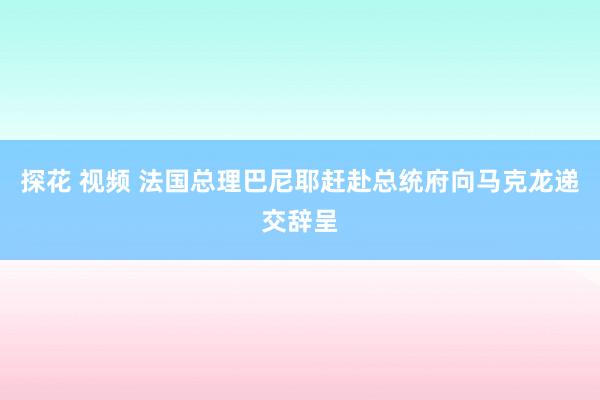 探花 视频 法国总理巴尼耶赶赴总统府向马克龙递交辞呈