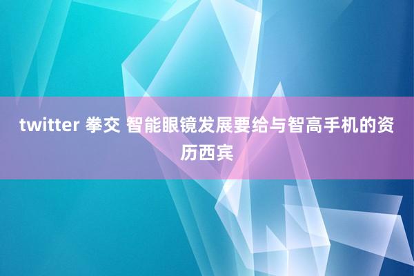 twitter 拳交 智能眼镜发展要给与智高手机的资历西宾