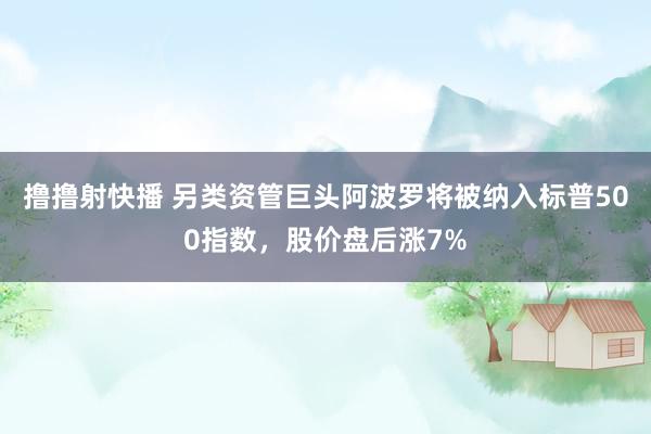 撸撸射快播 另类资管巨头阿波罗将被纳入标普500指数，股价盘后涨7%