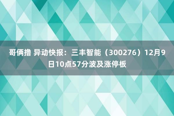 哥俩撸 异动快报：三丰智能（300276）12月9日10点57分波及涨停板