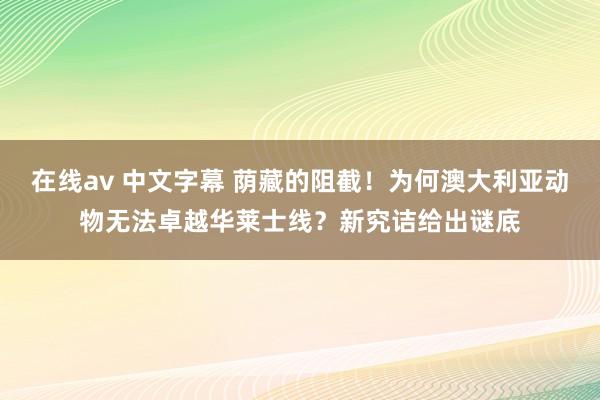 在线av 中文字幕 荫藏的阻截！为何澳大利亚动物无法卓越华莱士线？新究诘给出谜底