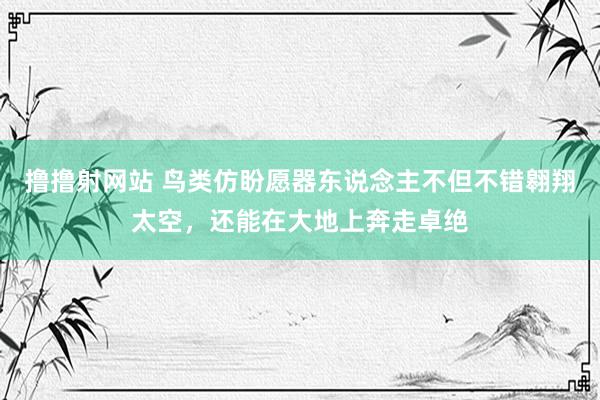 撸撸射网站 鸟类仿盼愿器东说念主不但不错翱翔太空，还能在大地上奔走卓绝