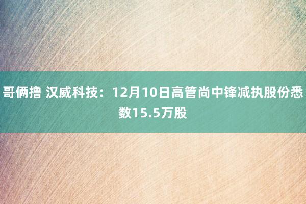 哥俩撸 汉威科技：12月10日高管尚中锋减执股份悉数15.5万股