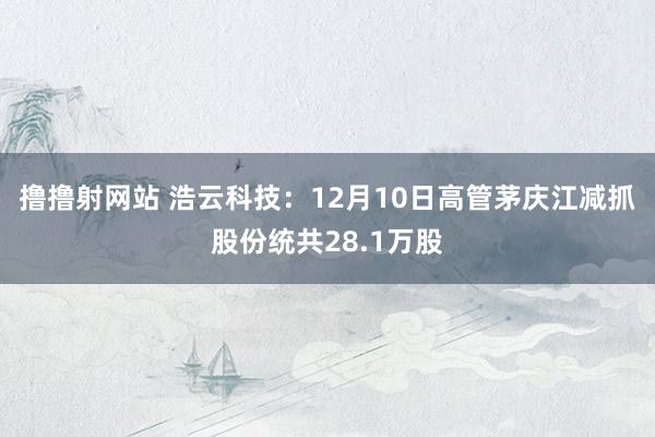 撸撸射网站 浩云科技：12月10日高管茅庆江减抓股份统共28.1万股