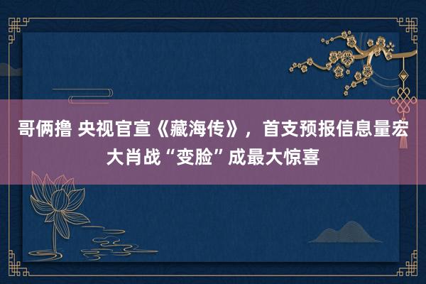 哥俩撸 央视官宣《藏海传》，首支预报信息量宏大肖战“变脸”成最大惊喜