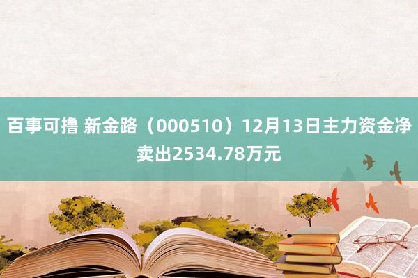 百事可撸 新金路（000510）12月13日主力资金净卖出2534.78万元