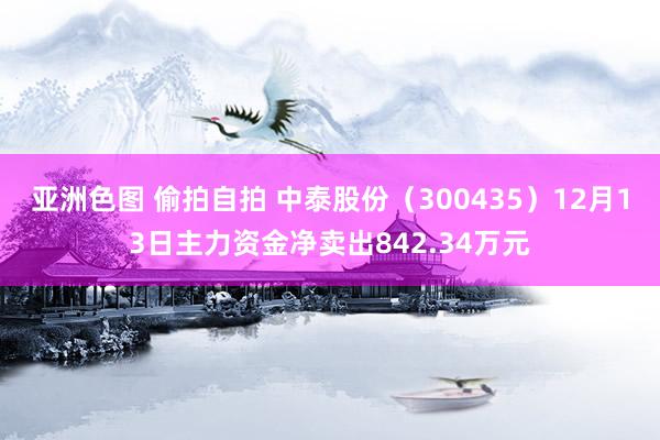 亚洲色图 偷拍自拍 中泰股份（300435）12月13日主力资金净卖出842.34万元